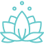 lotus 1